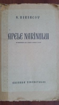 Apele narinului- N. Biriucov foto