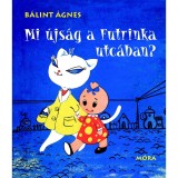 Mi &uacute;js&aacute;g a Futrinka utc&aacute;ban? - B&aacute;lint &Aacute;gnes