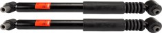 TRW JGT316T TRW TWIN amortizor