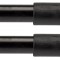 TRW JGT316T TRW TWIN amortizor