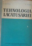 Tehnologia lăcătușeriei - T. Mucica, V. Husea