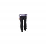 Shafer Canyon Insulated Pant, Columbia