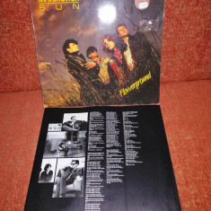 Matchstick Sun Flowerground scandinvian rock RCA 1989 Ger vinil vinyl