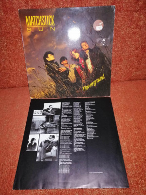 Matchstick Sun Flowerground scandinvian rock RCA 1989 Ger vinil vinyl foto
