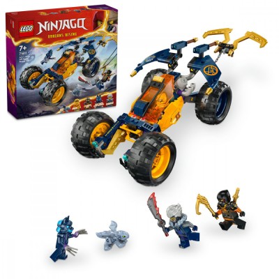 Buggy-ul Off-Road al lui Arin foto