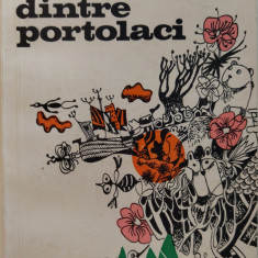 RUXANDRA BERINDEI/MODEST MORARIU: CASA DINTRE PORTOLACI(SCHITE/ed princeps 1976)
