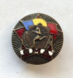 Insigna Gata pentru Munca si Aparare