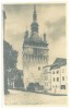 4204 - SIGHISOARA, Mures, Romania - old postcard, real PHOTO - unused, Necirculata, Fotografie