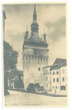 4204 - SIGHISOARA, Mures, Romania - old postcard, real PHOTO - unused