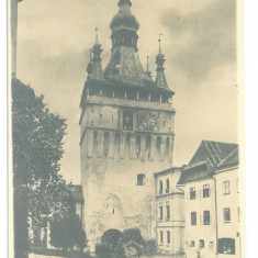 4204 - SIGHISOARA, Mures, Romania - old postcard, real PHOTO - unused