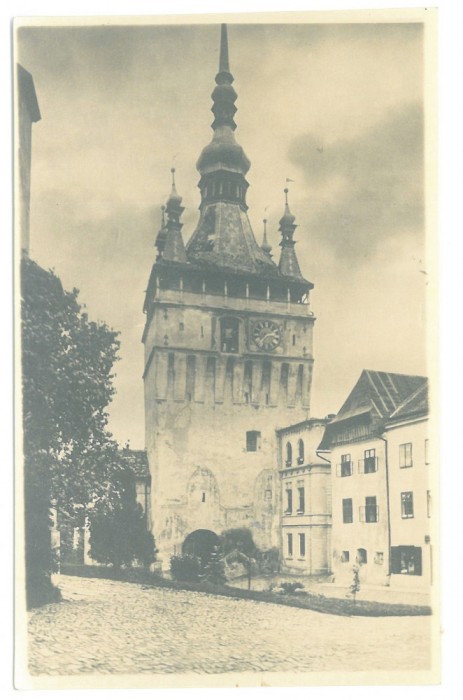 4204 - SIGHISOARA, Mures, Romania - old postcard, real PHOTO - unused