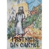 Pustnicul din Carmel