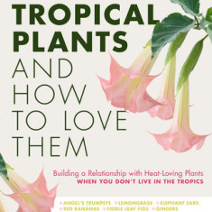 Tropical Plants and How to Love Them: Building a Relationship with Heat-Loving Plants When You Don't Live in the Tropics - Angel's Trumpets - Lemongra