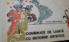 COMBINATII DE LASETA CU BRODERIE ARTISTICA