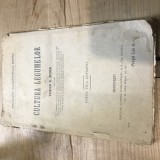 B. Interbelica Cultura Legumelor Bucuresti