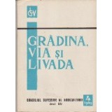 Gradina, Via si Livada, Nr. 4/1965 - Revista de Stiinta si Practica Horti-Viticola
