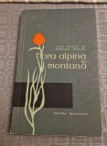 Flora alpina si montana Ana Pauca