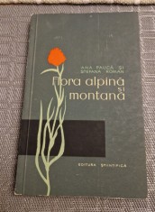 Flora alpina si montana Ana Pauca