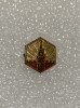 Insigna rusia