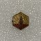 Insigna rusia