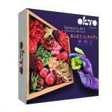 Set creatie Wood Craft - Succulents, 21 21cm - Passion, Okto