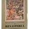 Zoe Dumitrescu-Busulenga - Renasterea - Umanismul si dialogul artelor (semnata) (Editia: 1971)