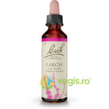 Bach 19 Larch (Larita) Picaturi 20ml