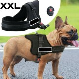 Ham pentru caini SENIOR DOG XXL (90 - 120cm) AVX-K77491, AVEX