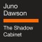 The Shadow Cabinet