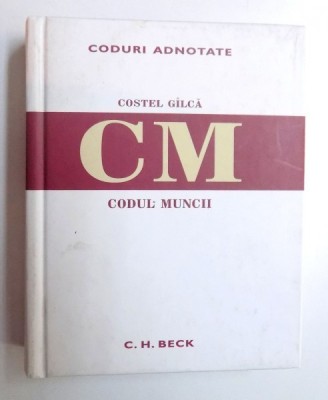 CODUL MUNCII de COSTEL GILCA , 2008 foto