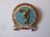 Rara! Insigna al 4-lea Festival Mondial al Tineretului si Studentilor București 1953,diametrul=34 mm, Romania 1900 - 1950