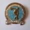 Rara! Insigna al 4-lea Festival Mondial al Tineretului si Studentilor București 1953,diametrul=34 mm