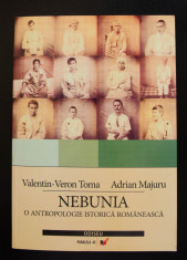 Valentin-Veron Toma; Adrian Majuru - Nebunia. O antropologie istorica romaneasca foto