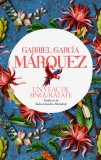 Un veac de singuratate - Gabriel Garcia Marquez - Rao