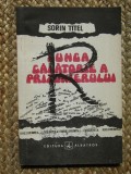 Sorin Titel - Lunga calatorie a prizonierului (1991)