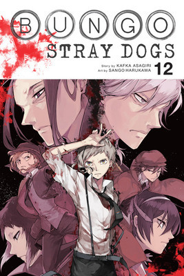 Bungo Stray Dogs, Vol. 12 foto