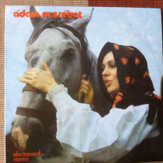 adam erzsebet szerelem barozda egyuttes disc vinyl lp muzica populara EPE 02818