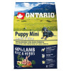 ONTARIO Puppy Mini Lamb &amp;amp; Rice 2,25kg