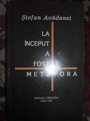 La inceput a fost metafora-Stefan Avadanei foto