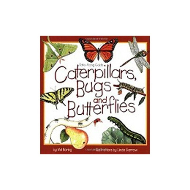 Caterpillars, Bugs &amp; Butterflies