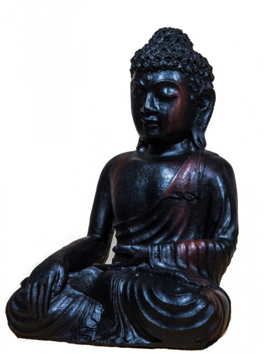 Statueta Buddha Calling The Earth Witness, M