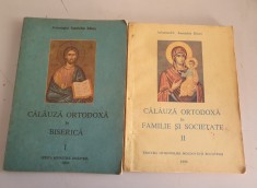 Calauza ortodoxa in Biserica. Calauza ortodoxa in familie si societate &ndash; Ioanichie Balan - 2 volume