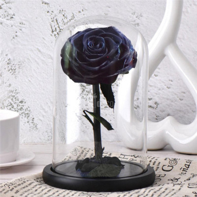 Trandafir Criogenat bonita negru &amp;Oslash;9,5cm in cupola 12x25cm foto