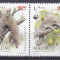 DB1 Fauna Pangolin WWF Macau 1995 MNH