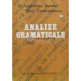 Analize gramaticale - 1985 - Nicolae Anghelescu Temelie (U52)
