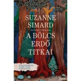 A b&ouml;lcs erdő titkai - Az anyafa felfedez&eacute;se - Suzanne Simard