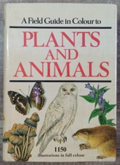 A field guide in colour to plants and animals - Jan Toman, Jiri Felix