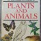 A field guide in colour to plants and animals - Jan Toman, Jiri Felix