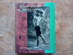 Human Anatomy and Physiology by John W. Hole Jr.