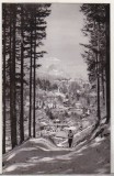 bnk cp Sinaia - Vedere de pe Piscul cainelui - necirculata